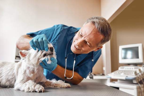 Best After-Hours Emergency Dentist in District Heights, MD